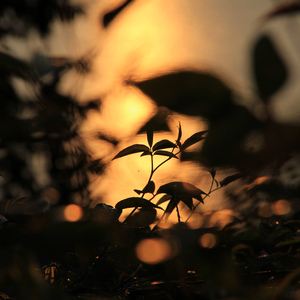 农村妞l女无套内谢视频

